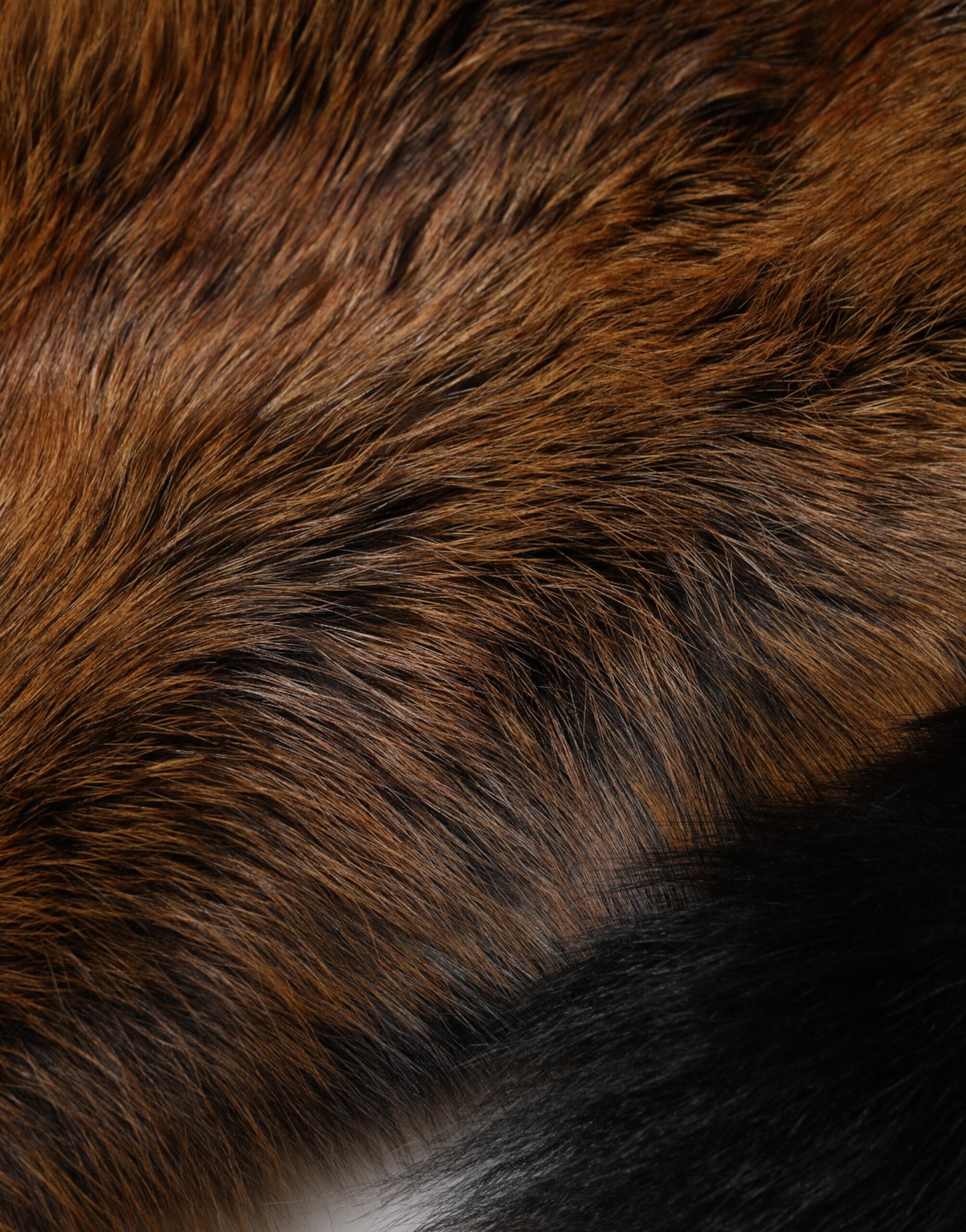 Dolce & Gabbana Brown Red Fox Fur Neck Cashmere Warmer Scarf - Image 8