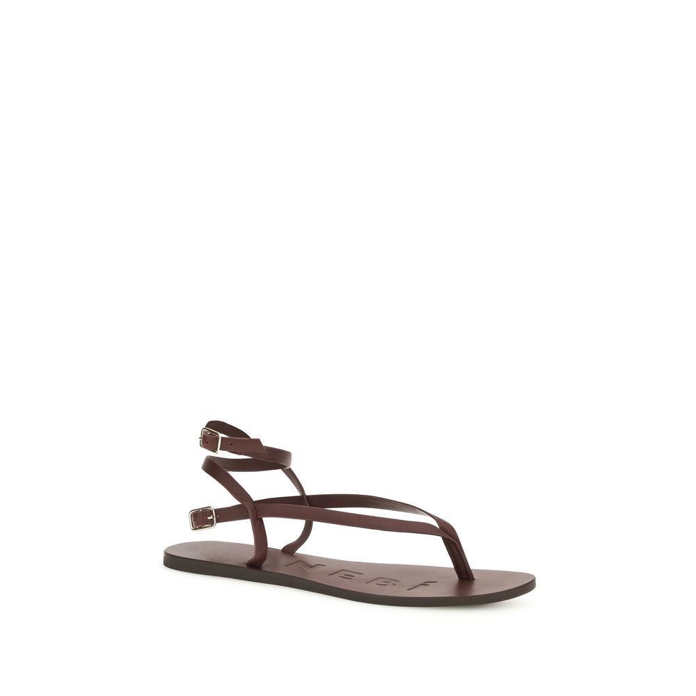 Manebi Brown Calf Leather Bos Taurus Flat Sandals - Image 2