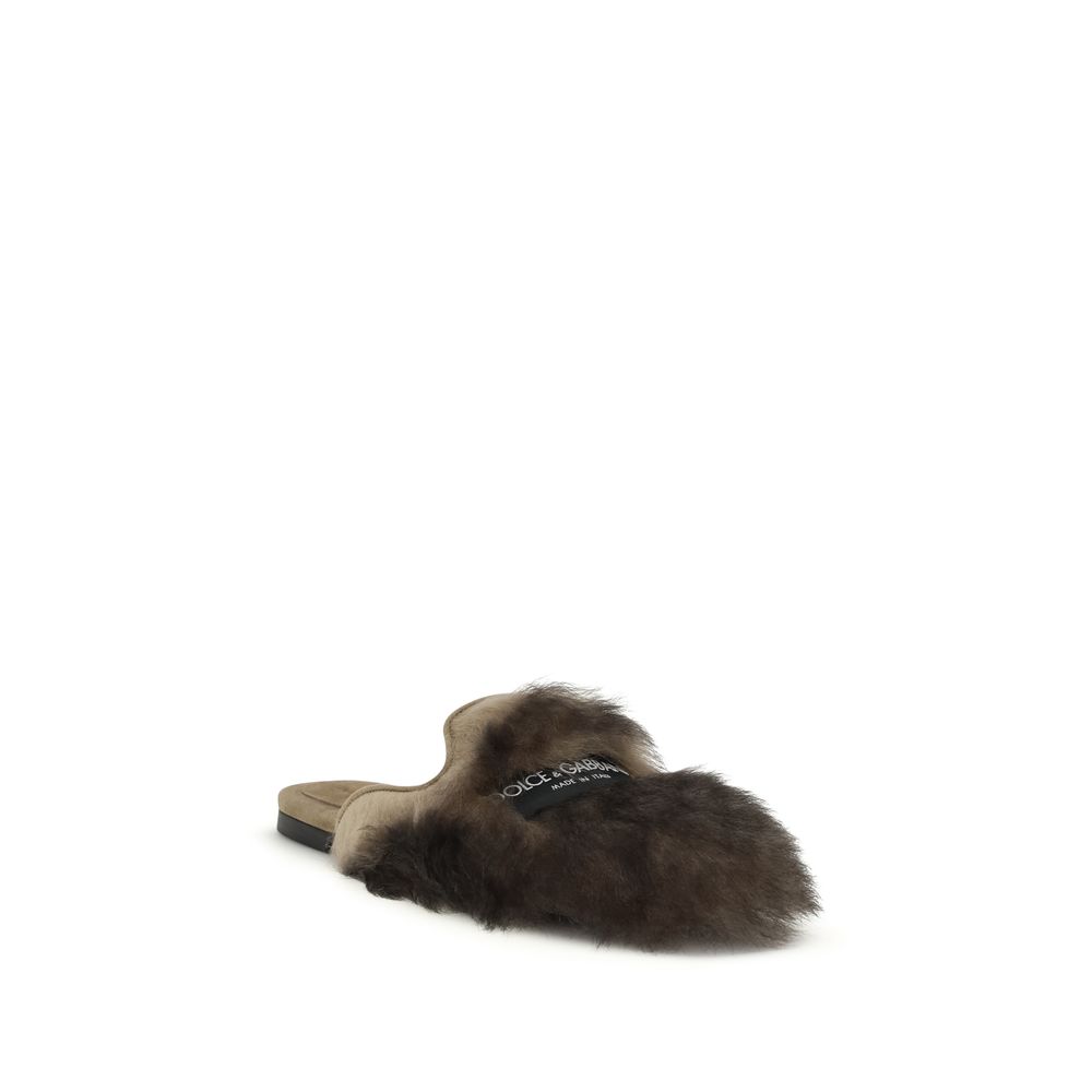 Dolce & Gabbana Gray Lamb Ovis Aries Aries Mules - Image 2